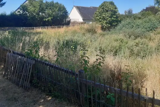Terrain délimité par une clôture en bois envahi par des herbes hautes et des ronces.