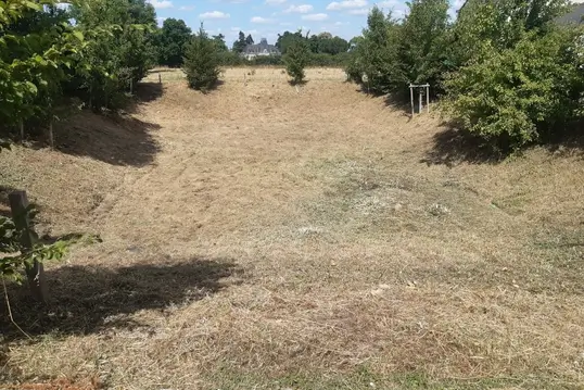 Travail de débroussaillage terminé du terrain envahi par des herbes hautes et des arbustes.
